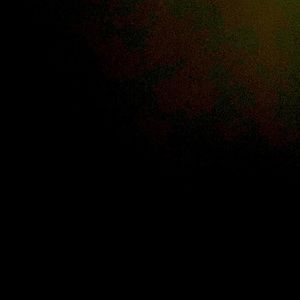 Meet your Posher, Simone